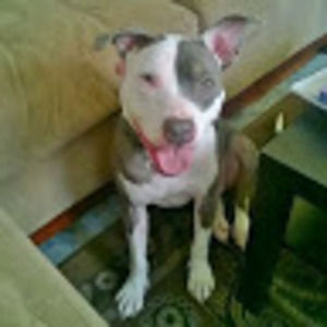 Meet your Posher, Anita